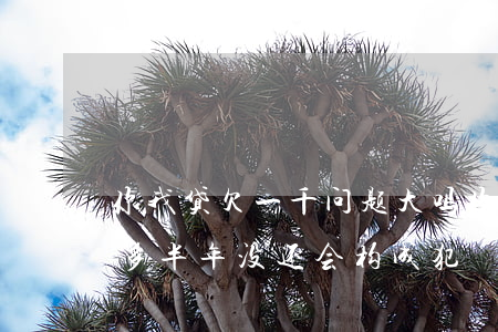 你我贷欠一千问题大吗(你我贷欠款2000多,半年没还,会构成犯)