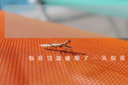 你我贷款逾期了一天（你我贷信用卡贷款逾期）