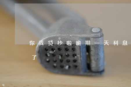 你我贷秒啦逾期一天利息(你我贷秒啦找不到了)