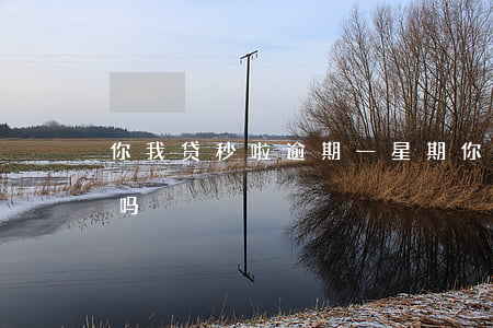 你我贷秒啦逾期一星期(你我贷可以延期一天吗)