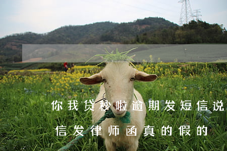 你我贷秒啦逾期发短信说发律师函(你我贷短信发律师函真的假的)