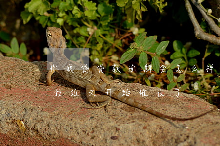 你我贷贷款逾期会怎么样(你我贷逾期一年了,最近又开始催收了)