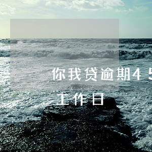 你我贷逾期45个自然日(你我贷超过20个工作日)