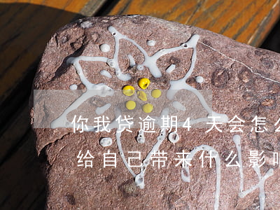你我贷逾期4天会怎么样(你我贷逾期三天会给自己带来什么影响)