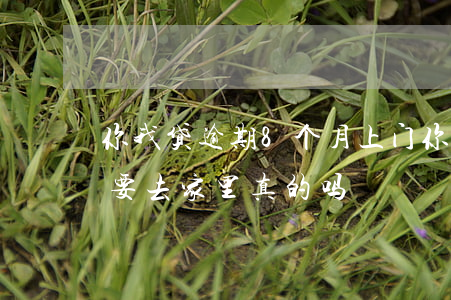 你我贷逾期8个月上门(你我贷逾期两年了说要去家里真的吗)