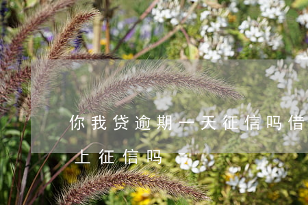 你我贷逾期一天征信吗(借款平台逾期一天会上征信吗)