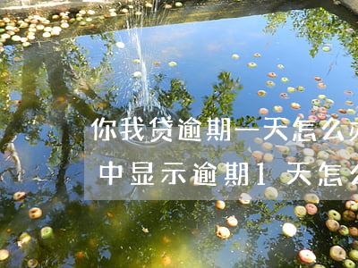 你我贷逾期一天怎么办(你我贷一直还款处理中,显示逾期1天怎么回事)