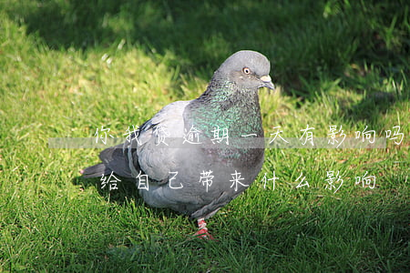 你我贷逾期一天有影响吗(你我贷逾期三天会给自己带来什么影响)