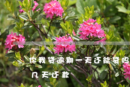 你我贷逾期一天还能贷吗(你我贷最多可拖延几天还款)