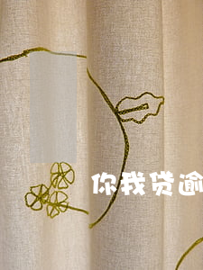 你我贷逾期三年还不了款