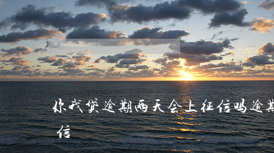 你我贷逾期两天会上征信吗(逾期两天就上征信)
