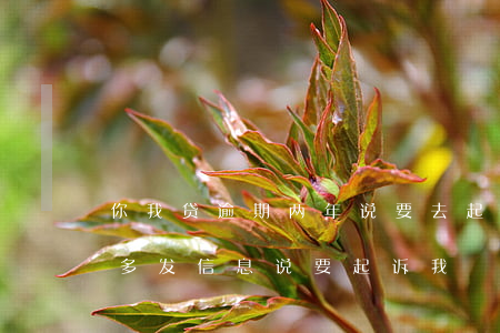 你我贷逾期两年说要去起诉(你我贷逾期一年多发信息说要起诉我)