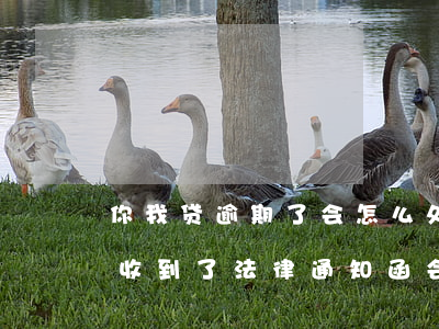你我贷逾期了会怎么处理(你我贷逾期一年多收到了法律通知函会怎么样)