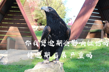 你我贷逾期会影响征信吗(你我贷逾期会怎么样?逾期后果严重吗?)