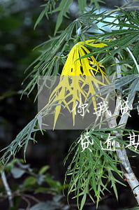 你我贷逾期几天会打电话给通讯录的人，你我贷逾期：几天后会开始拨打通讯录电话催收？