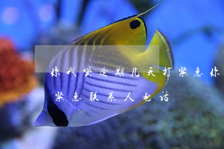 你我贷逾期几天打紧急(你我贷逾期多久会打紧急联系人电话?)