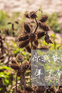 你我贷逾期发公安警告函(你我贷借款逾期一年了,今天发来短信说起)