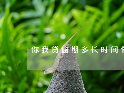 你我贷逾期多长时间催收(你我贷催款)