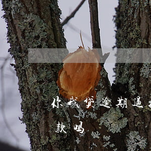你我贷逾期过换完还能借吗(你我贷能延期还款吗)