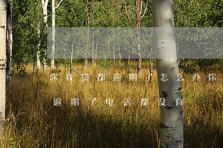 你我贷都逾期了怎么办(你我贷是不是倒闭了逾期了电话都没有)