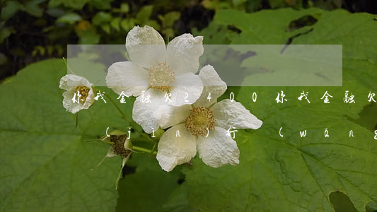 你我金融欠2400(你我金融欠款三年說要進(jìn)行網(wǎng)絡(luò)公布上門 是真假)
