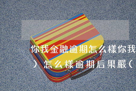 你我金融逾期怎么樣(你我貸逾期會(huì)怎么樣?逾期后果嚴(yán)重嗎?)