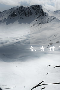 你支付寶逾期過么(支付寶逾期有事嗎)