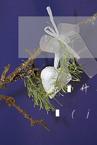 你為什么申請(qǐng)經(jīng)濟(jì)援助(經(jīng)濟(jì)支援什么意思)