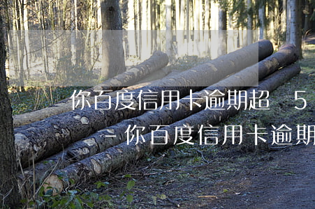 你百度信用卡逾期超過5萬會(huì)怎樣-你百度信用卡逾期超過5萬會(huì)怎樣處理