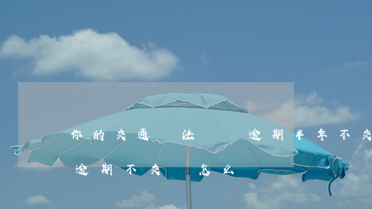 你的交通違法罰單逾期半年不交-違章罰款逾期不交會怎么樣