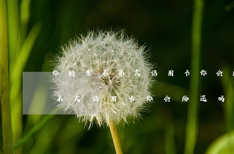 你的亲弟弟欠信用卡你会给还吗-你的亲弟弟欠信用卡你会给还吗英语