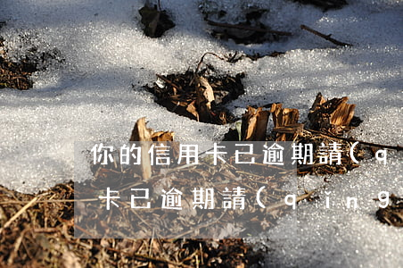 你的信用卡已逾期請(qǐng)(你的信用卡已逾期請(qǐng)稍后再試)