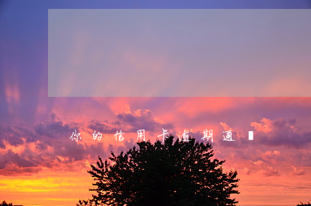 你的信用卡逾期通緝