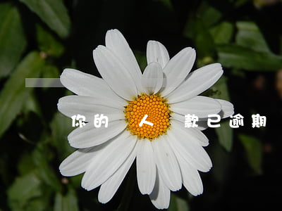 你的個人貸款已逾期(個人貸款存在逾期)