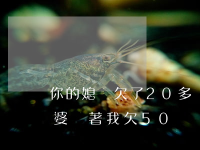 你的媳婦欠了20多萬網(wǎng)貸(老婆瞞著我欠50萬網(wǎng)貸)