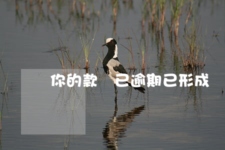 你的款項已逾期(已形成貸款逾期)