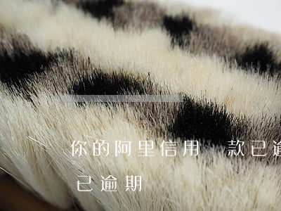 你的阿里信用貸款已逾期(你的阿里信用貸款已逾期)
