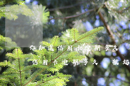 你知道信用卡逾期多久會被起訴嗎-你知道信用卡逾期多久會被起訴嗎英文