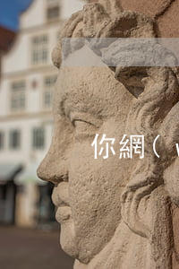 你網(wǎng)貸欠了多少