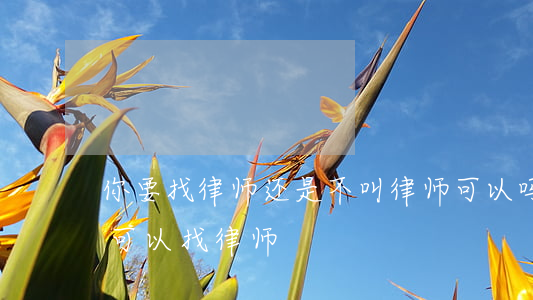 你要找律师还是不叫律师可以吗(什么情况下可以找律师)