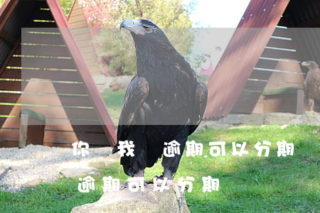 你貸我貸逾期可以分期還嗎怎么辦（你貸我貸逾期可以分期還嗎）