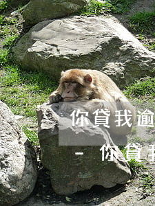 你貸我逾期一天了平臺(tái)怎么處理-你貸我逾期一天了平臺(tái)怎么處理的