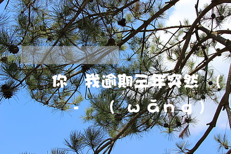 你貸我逾期三年突然聯(lián)系通訊錄-網(wǎng)貸你我貸逾期了兩年現(xiàn)在突然打電話(huà)