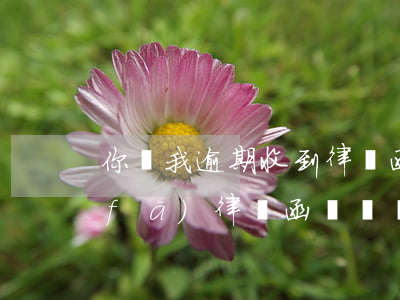 你貸我逾期收到律師函怎么辦(貸款逾期發(fā)律師函過來沒事吧)
