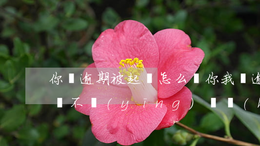 你貸逾期被起訴怎么辦(你我貸逾期被法院起訴不應(yīng)訴會(huì)怎樣)