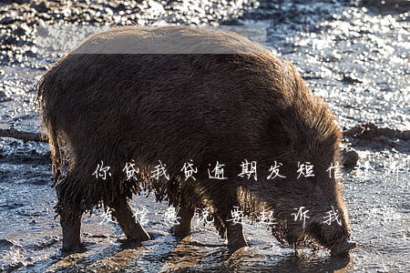 你贷我贷逾期发短信起诉(你我贷逾期一年多发信息说要起诉我)