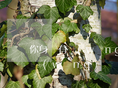 你身邊有網(wǎng)貸怎么欠的(我欠了網(wǎng)貸)