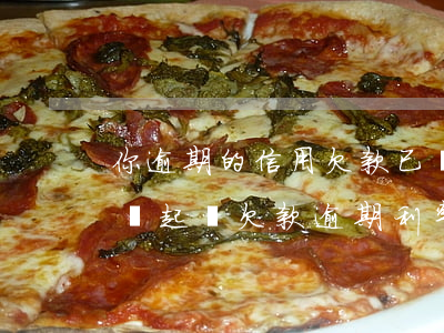 你逾期的信用欠款已經(jīng)立案訴訟（起訴欠款逾期利率）