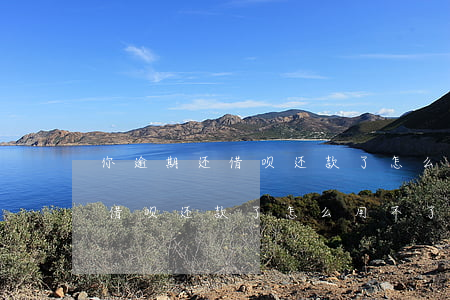 你逾期还借呗还款了怎么用不了-你逾期还借呗还款了怎么用不了了