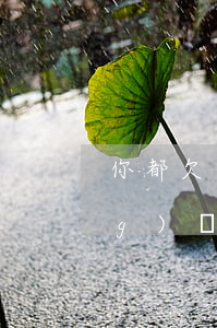 你都欠了多少網(wǎng)貸(網(wǎng)貸欠多少算多)